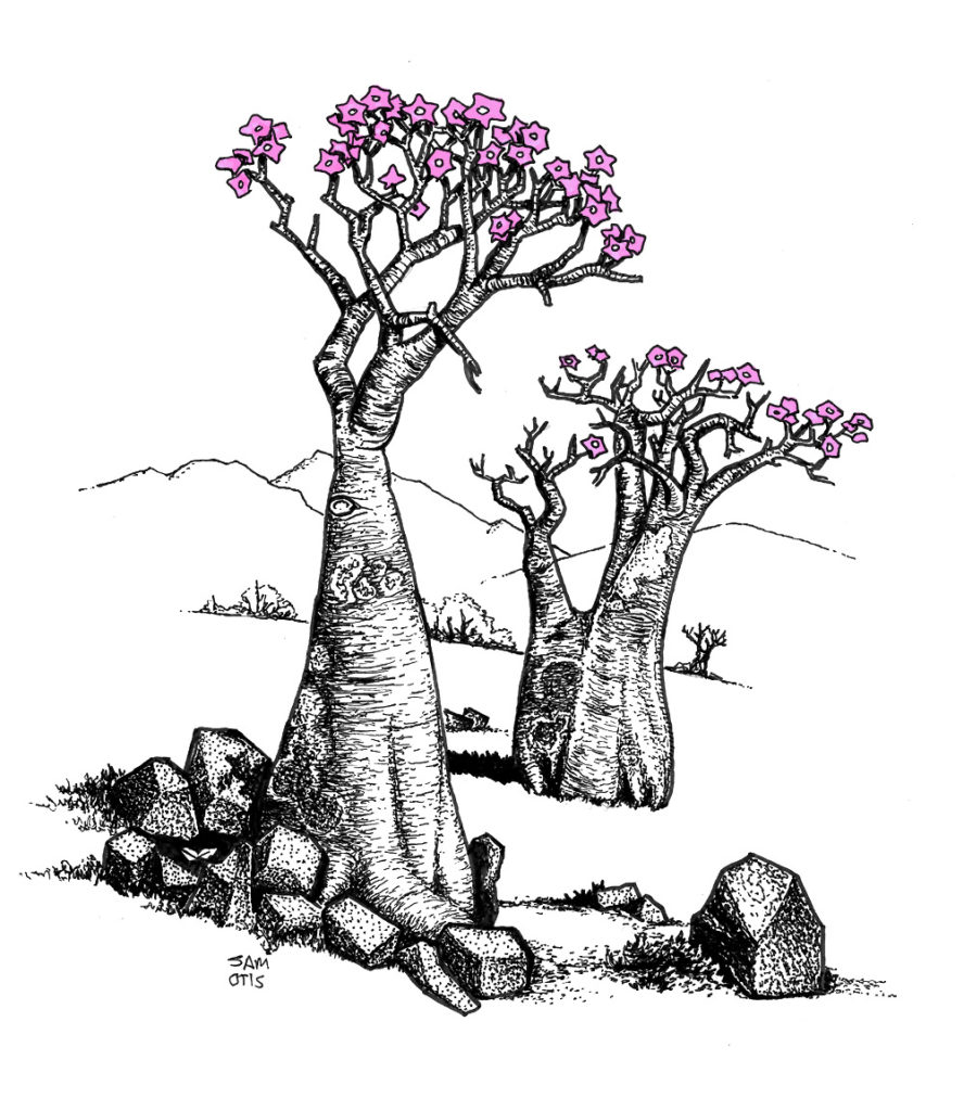 Bottle trees sketch Just Sketches